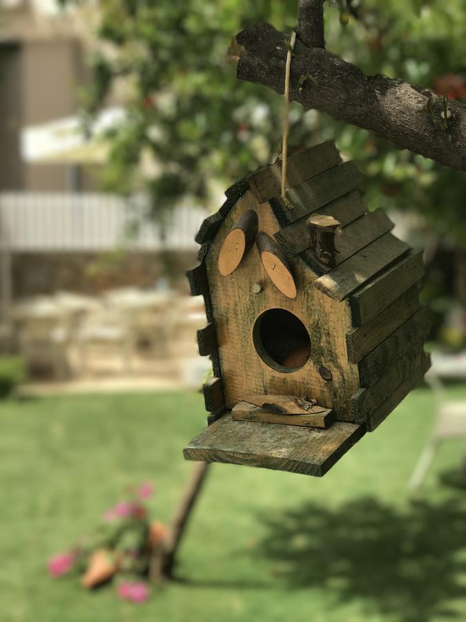 ダルヤン Grandma'S Gardenアパートホテル エクステリア 写真